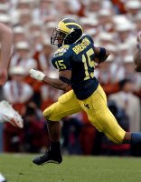 Steve Breaston (15)