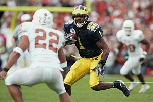 Braylon Edwards (1)