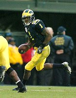 Braylon Edwards (1)