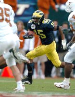 Steve Breaston (15)