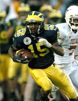 Steve Breaston (15)