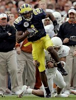 Braylon Edwards (1)