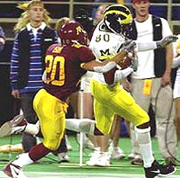 Braylon Edwards (80)