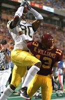 Braylon Edwards (80)