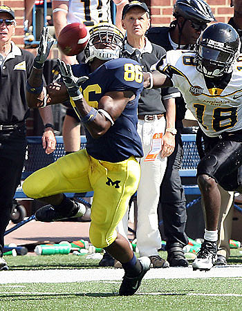Mario Manningham