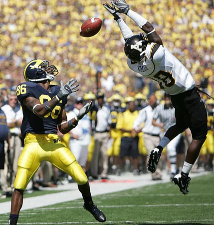 Mario Manningham
