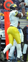 Braylon Edwards (1)