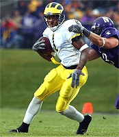 Braylon Edwards (1)