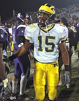 Steve Breaston (15)