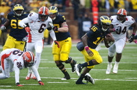 Patrick Omameh (65), Taylor Lewan (77), and Denard Robinson (16)