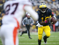 Denard Robinson (16)