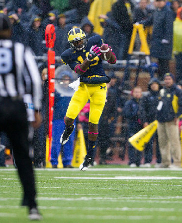 Devin Funchess (19)