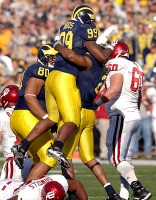 Shawn Crable, Pierre Woods, and Alan Branch