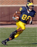 Mario Manningham