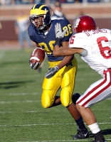 Mario Manningham