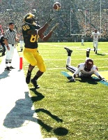 Mario Manningham