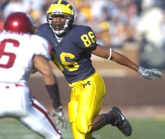 Mario Manningham
