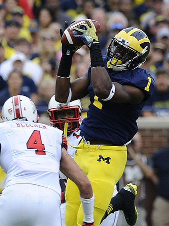 Devin Funchess (1)