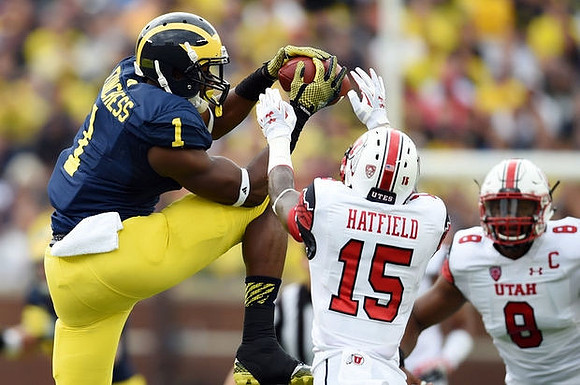 Devin Funchess (1)