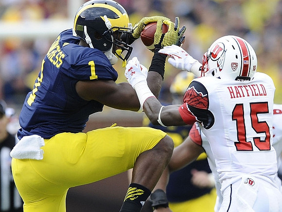 Devin Funchess (1)