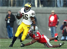 Mario Manningham