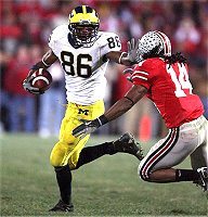 Mario Manningham