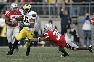 Mario Manningham