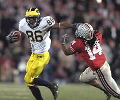 Mario Manningham