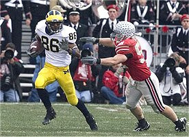 Mario Manningham