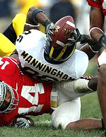Mario Manningham