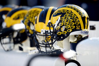 Michigan Helmets