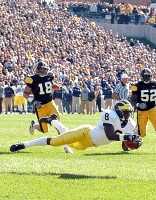 Jason Avant