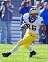 Mario Manningham