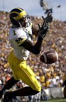 Braylon Edwards (1)