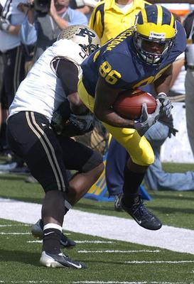 Mario Manningham