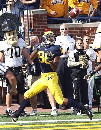 Mario Manningham