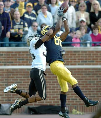 Mario Manningham