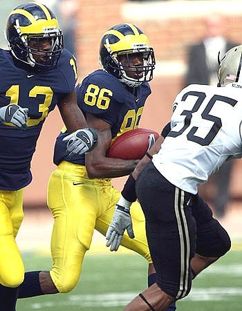 Mario Manningham and Greg Mathews