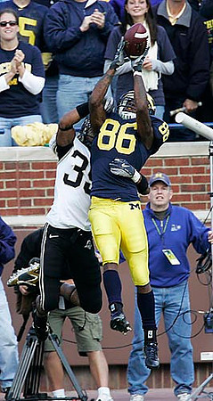 Mario Manningham