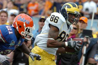Mario Manningham
