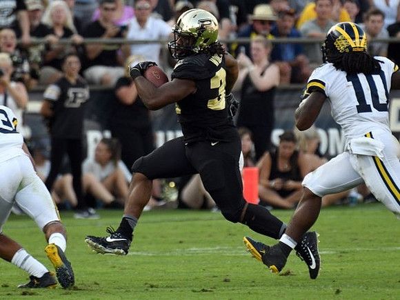 Devin Bush (10)