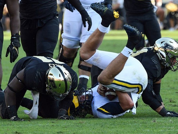 Wilton Speight (3)