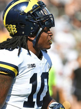 Devin Bush (10)
