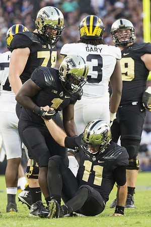 Maurice Hurst (73) and Rashan Gary (3)