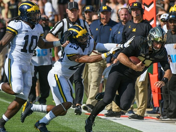 Devin Bush (10) and Tyree Kinnel (23)