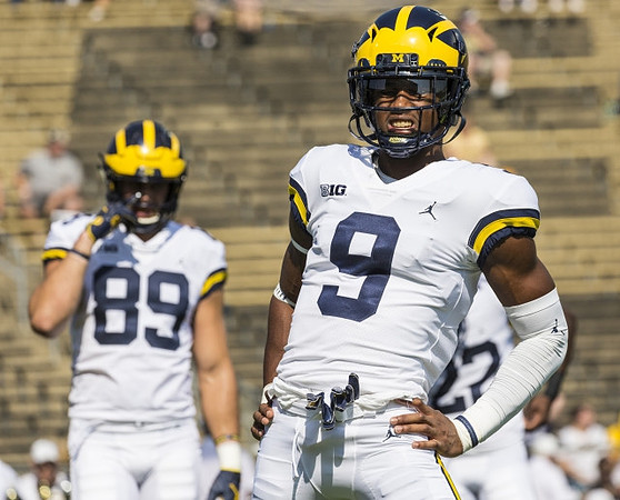 Ian Bunting (89) and Donovan Peoples-Jones (9)