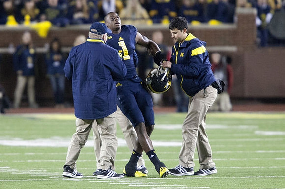 Devin Funchess (1)