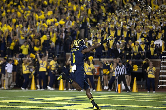 Devin Funchess (1)