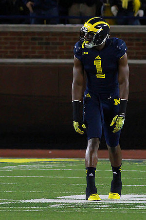 Devin Funchess (1)
