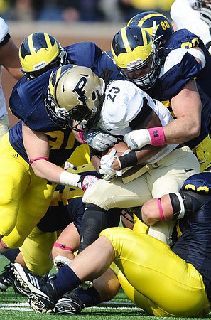 Will Heininger (39), Mike Martin (68), Ryan Van Bergen (53), and Craig Roh (88)